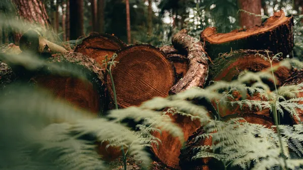 Observability Engineering with logs in Golang